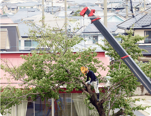 植栽撤去